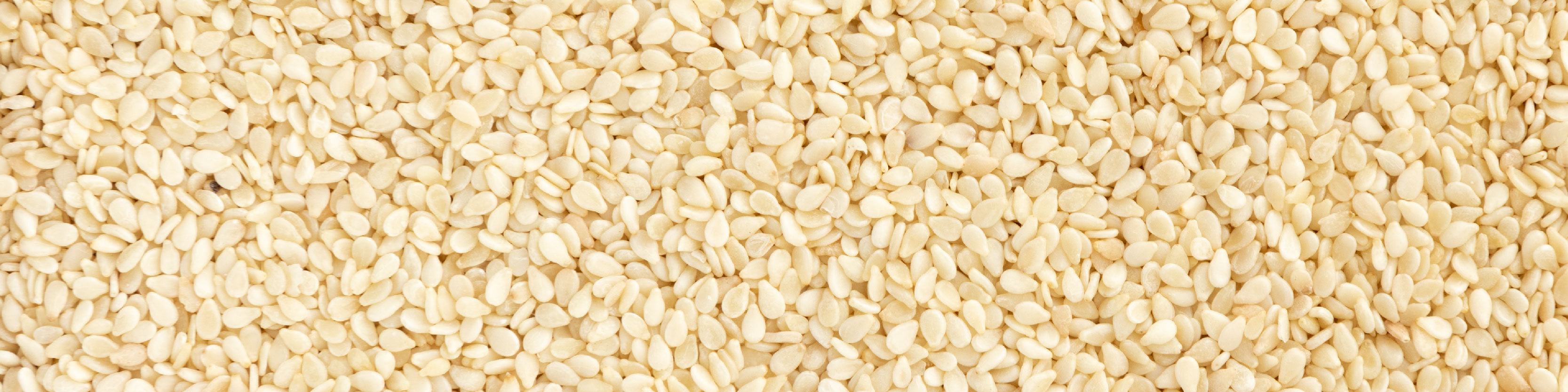 Sesame seed image