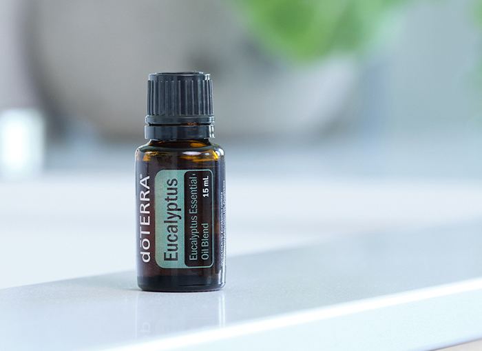 Eucalyptus Oil Blend Image