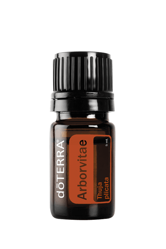 Arborvitae Essential Oil