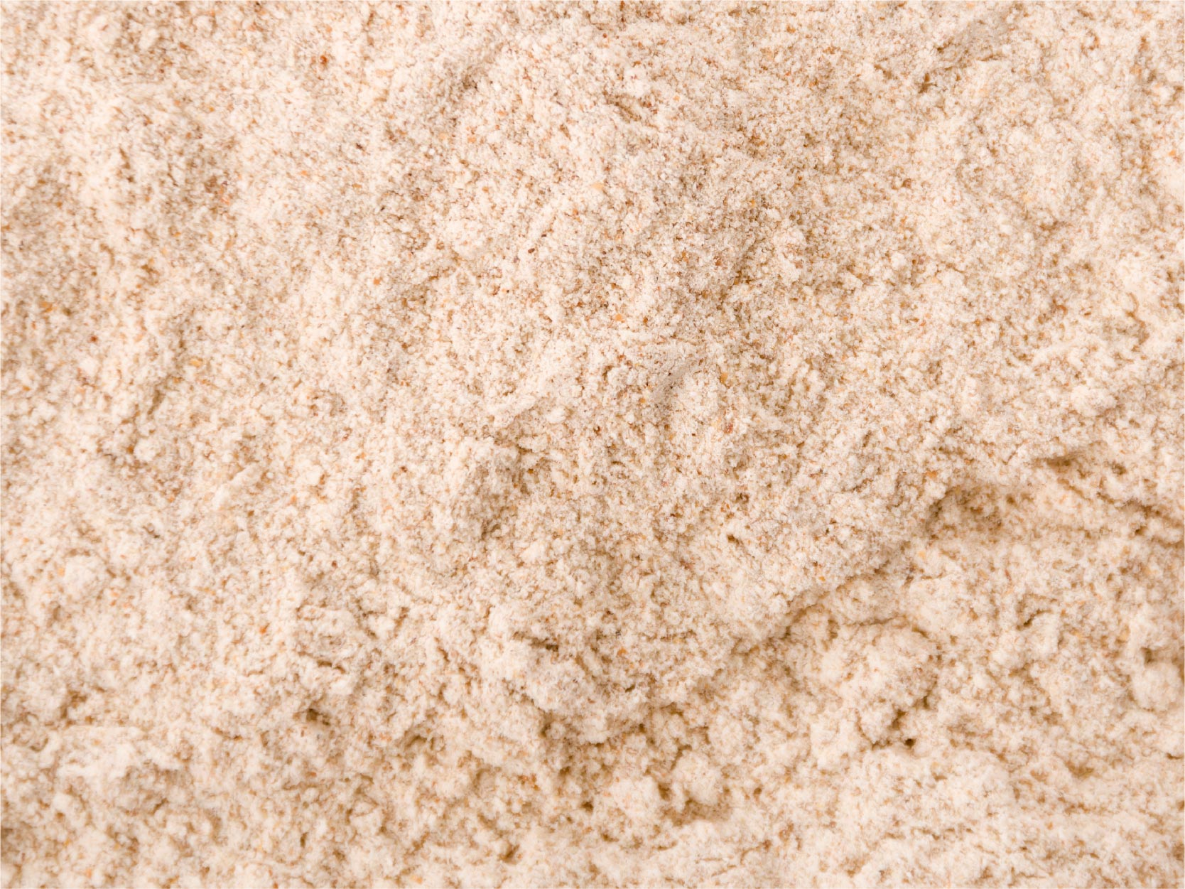 TerraZyme Protease Ingredient Image