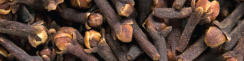 Clove Seed Image