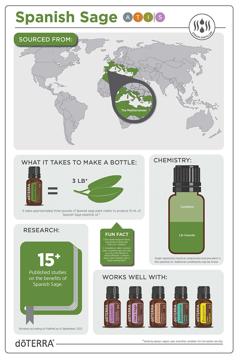 Spanish Sage Infographic