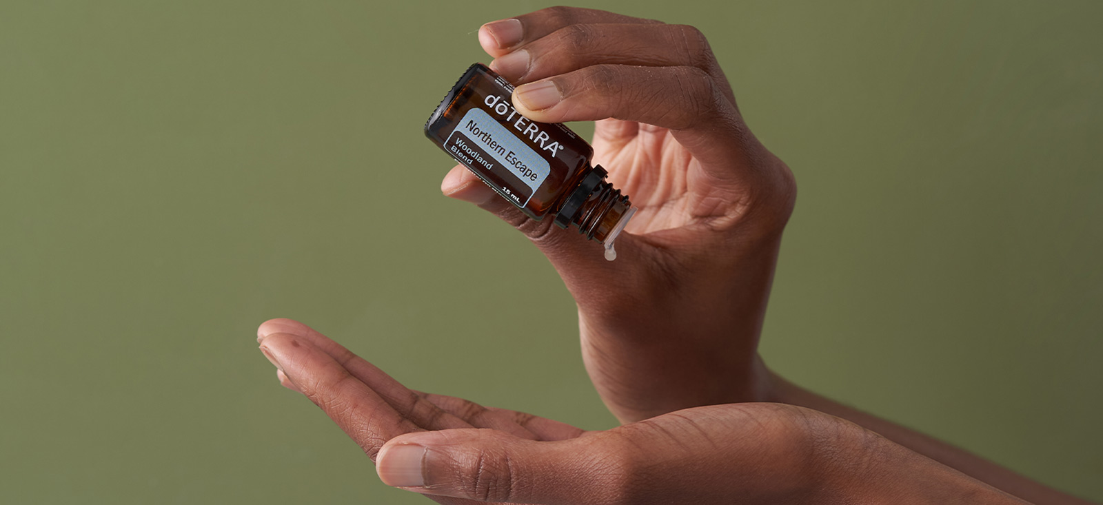 Northern Escape Oil Image