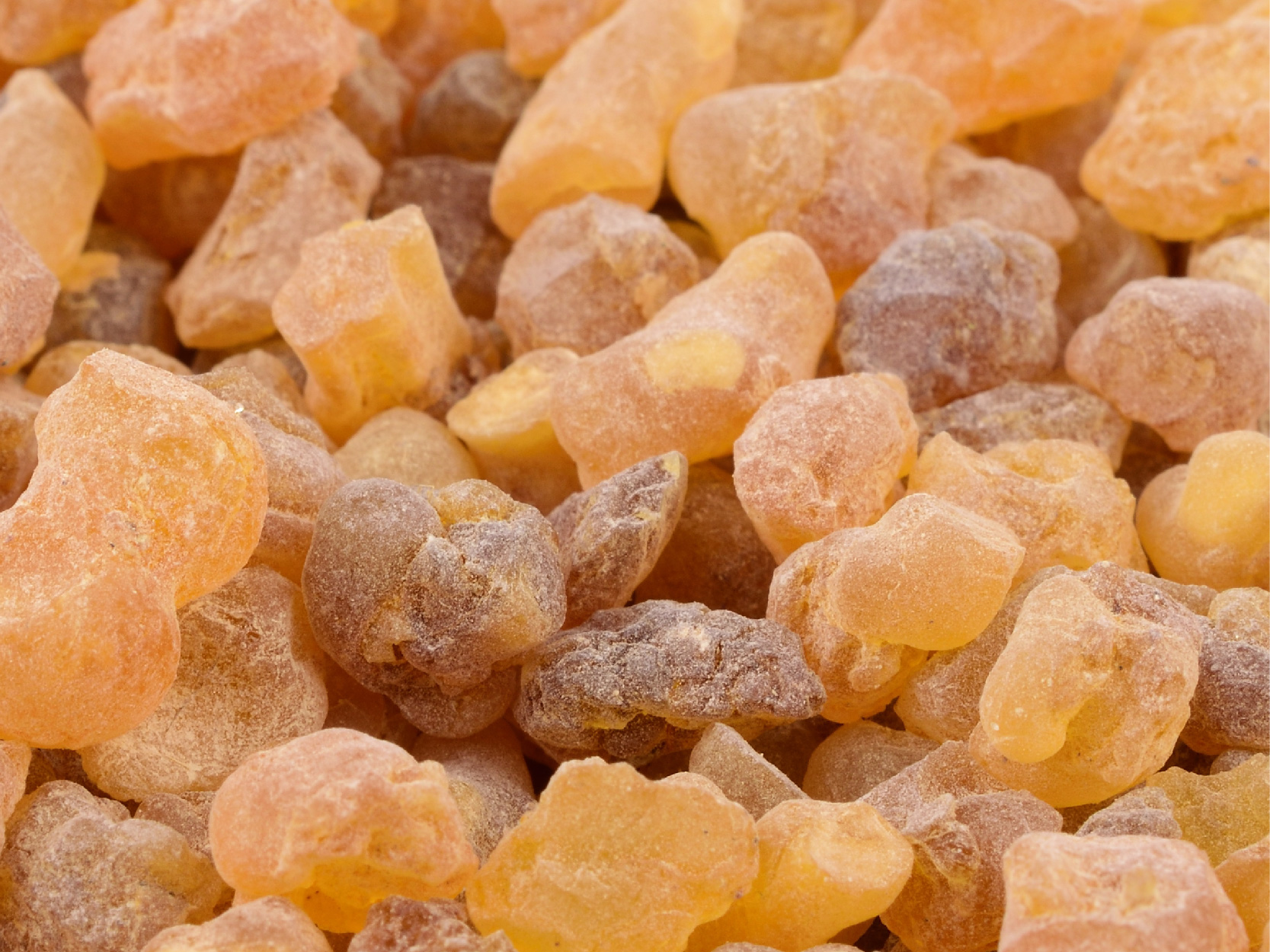 Sun Face Moisturizer Ingredients frankincense