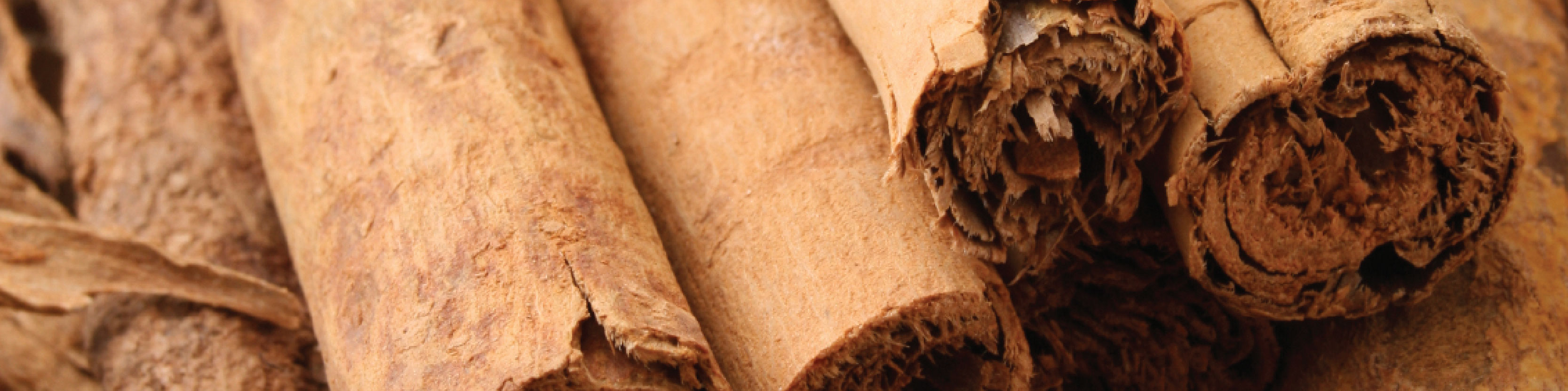 Cinnamon Bark Image