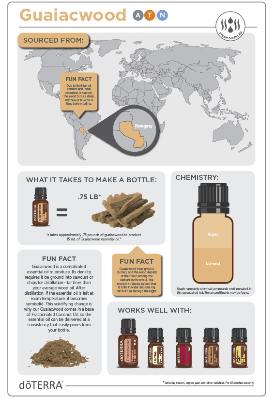 Guaiacwood Essential Oil Infographic