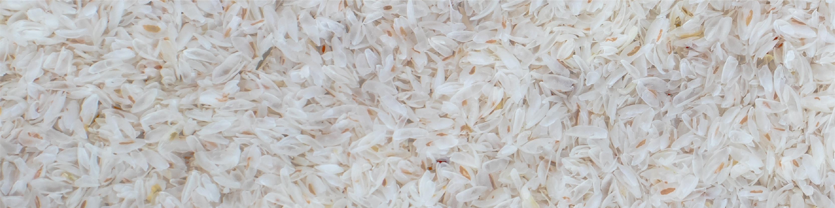 TerraZyme Amylase Image