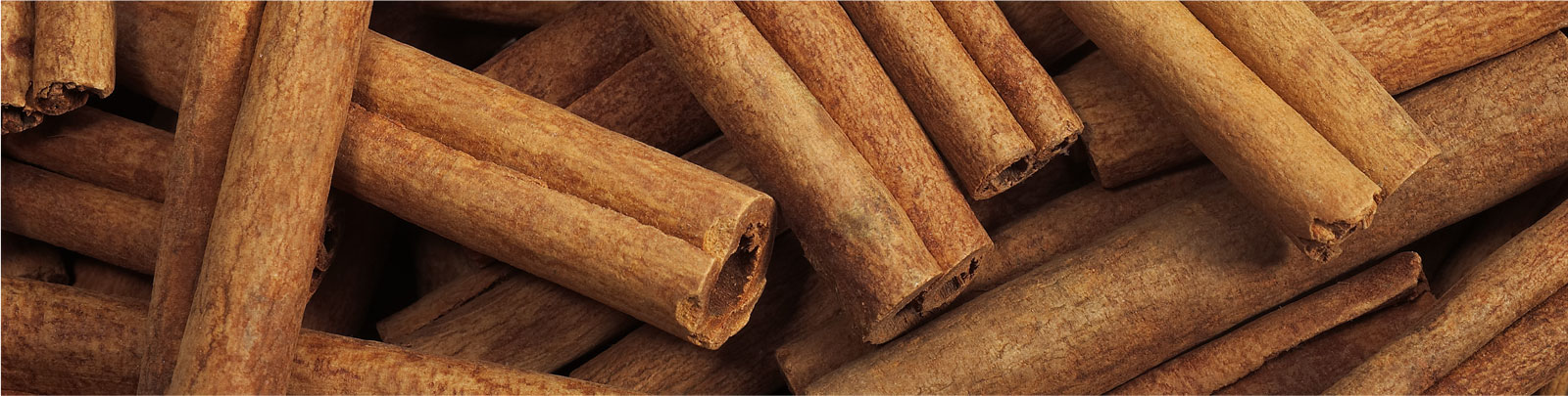 metapwr-gum-ingredient-cinnamon.jpg