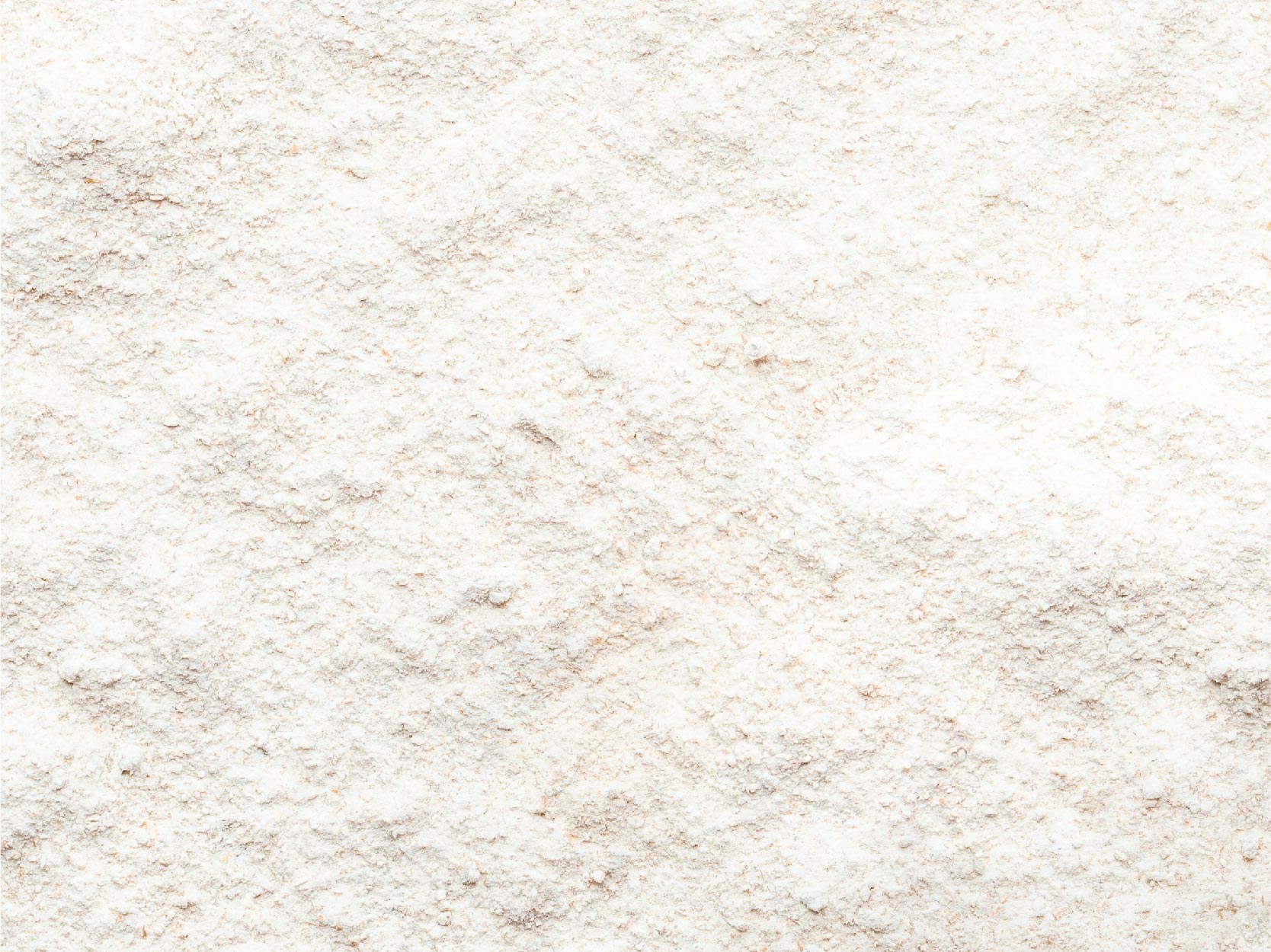 TerraZyme Lactase Image