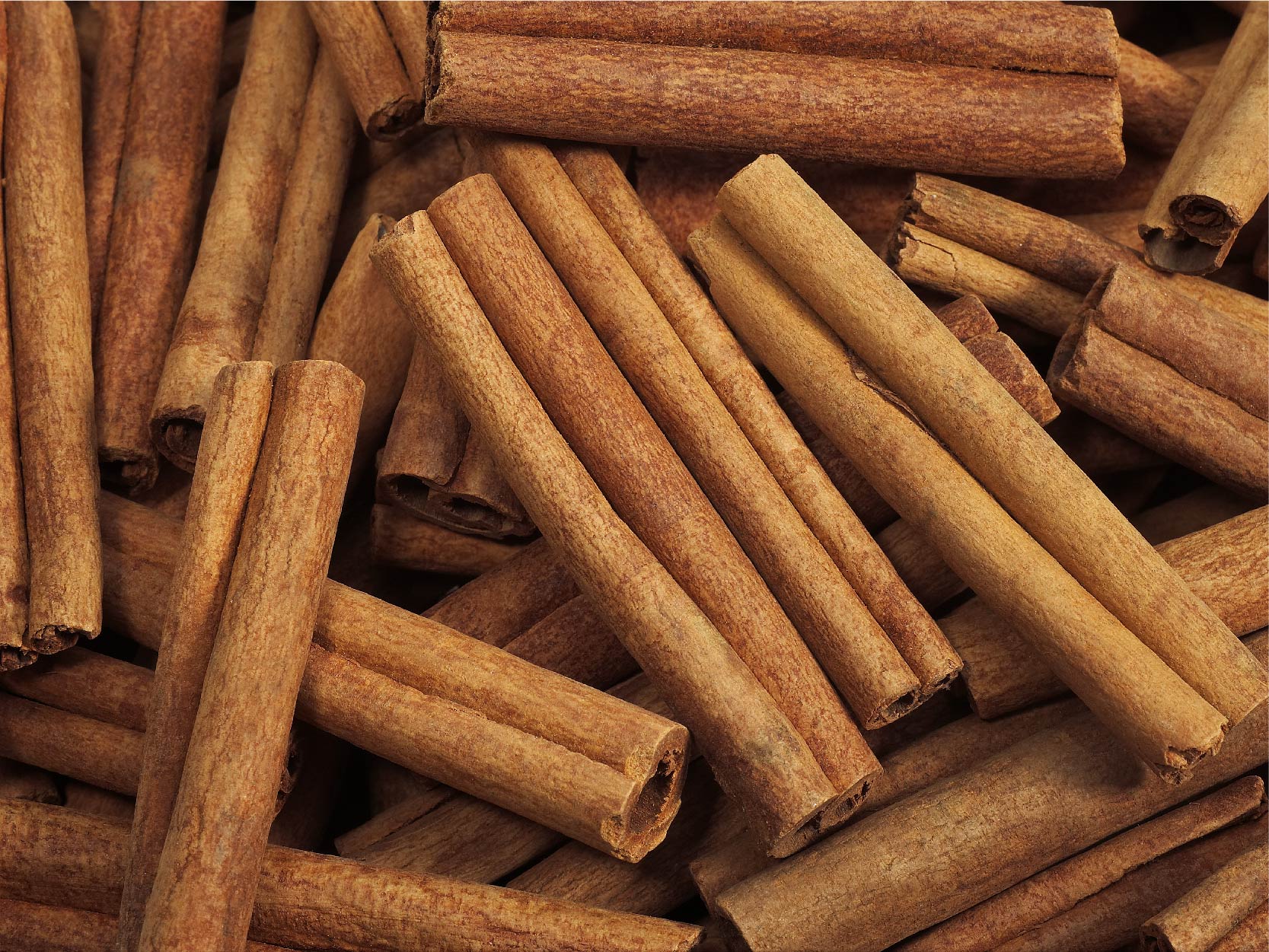 Cinnamon Bark Image
