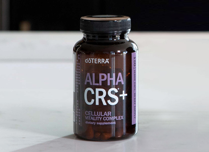 <spring:theme code='text.product.primaryBenefits' text='Primary Benefits'/>