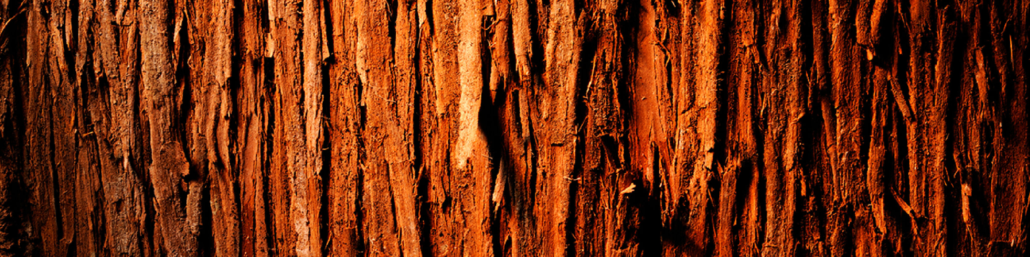 Cedarwood Image
