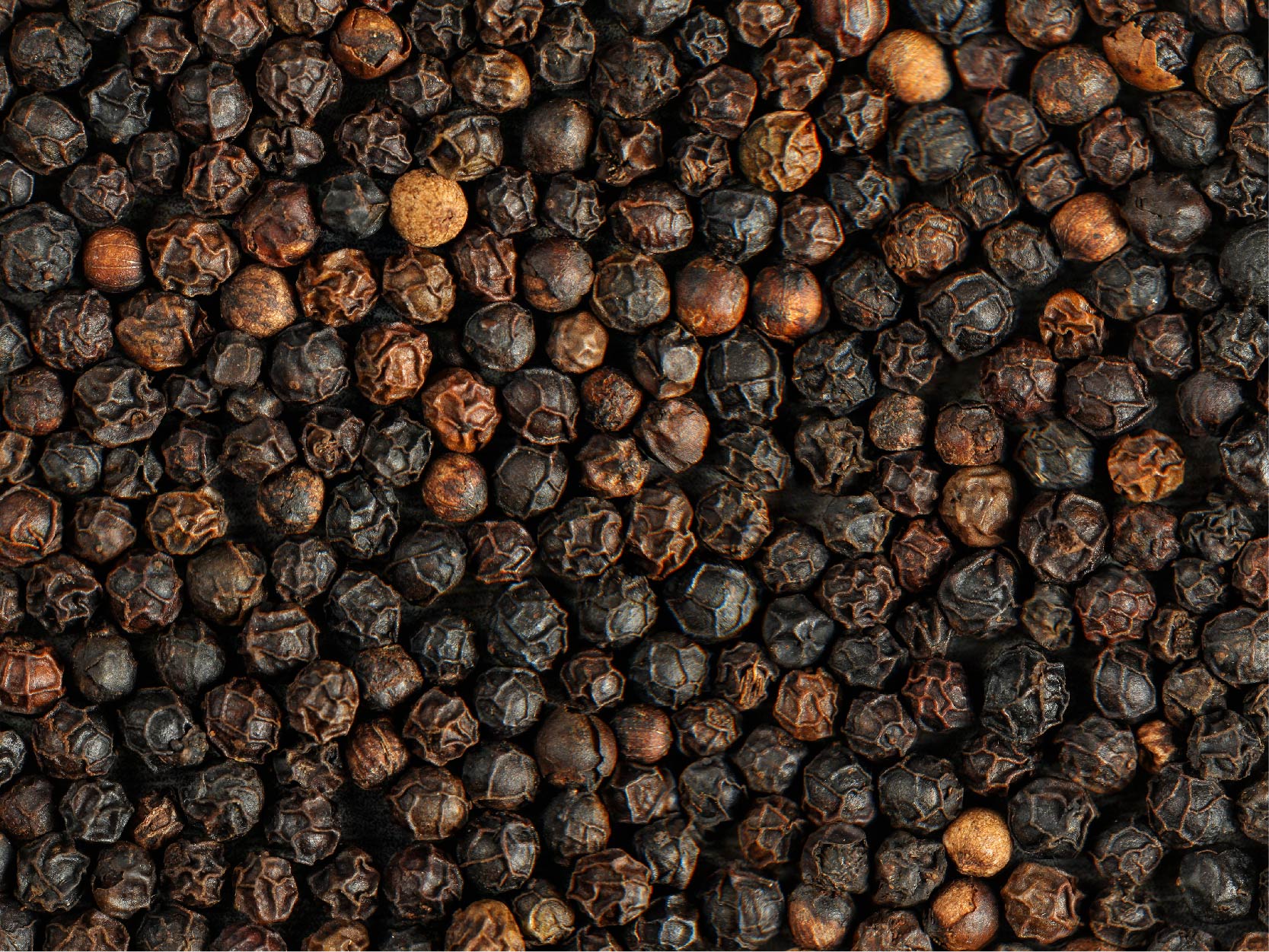 Black Pepper Seed Image