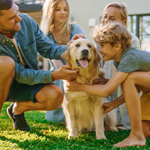 Family petting a dog