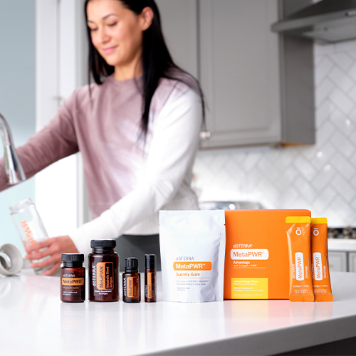 MetaPWR System Products