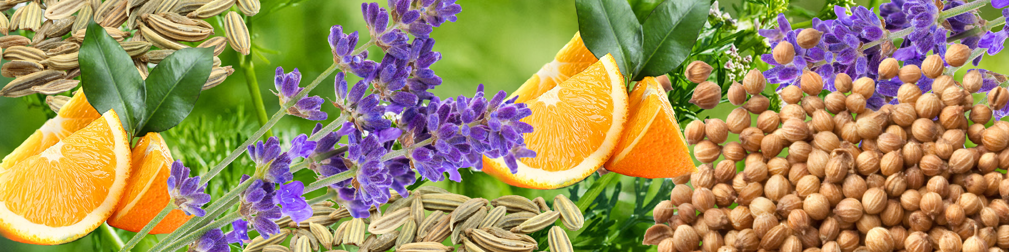 Various Essential oils image