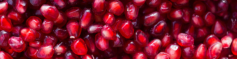 Pomegranate Seed image