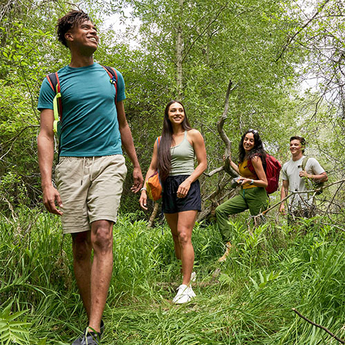 Four young people hiking