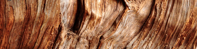 Cedarwood_Desktop.png
