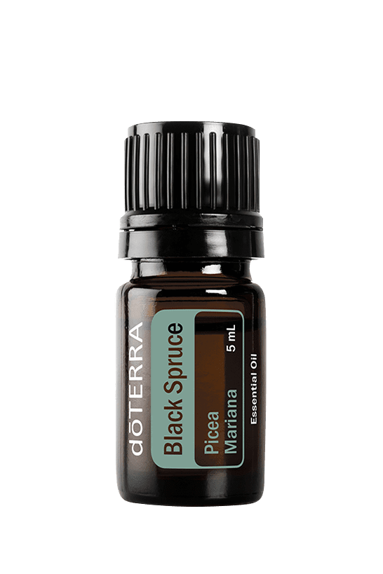 Black Spruce Essential Oil