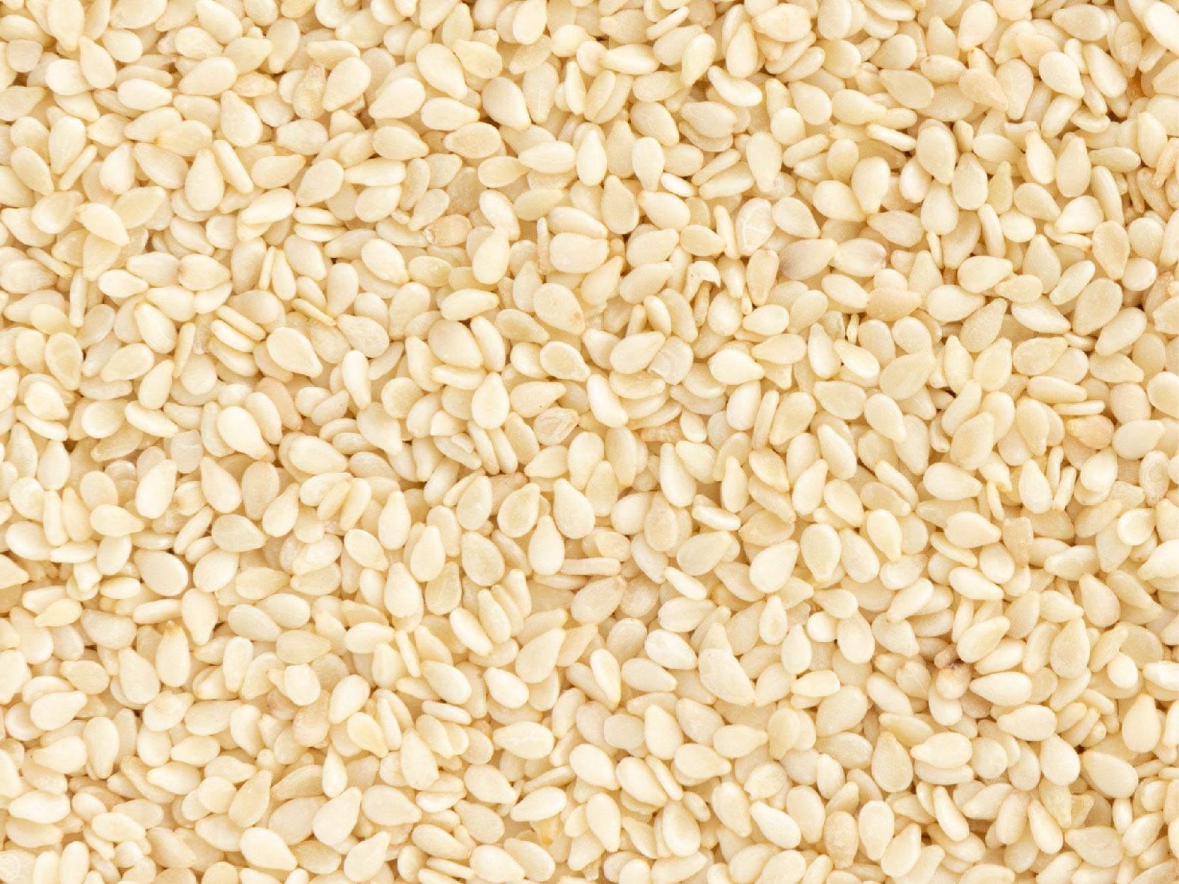Sesame seed image