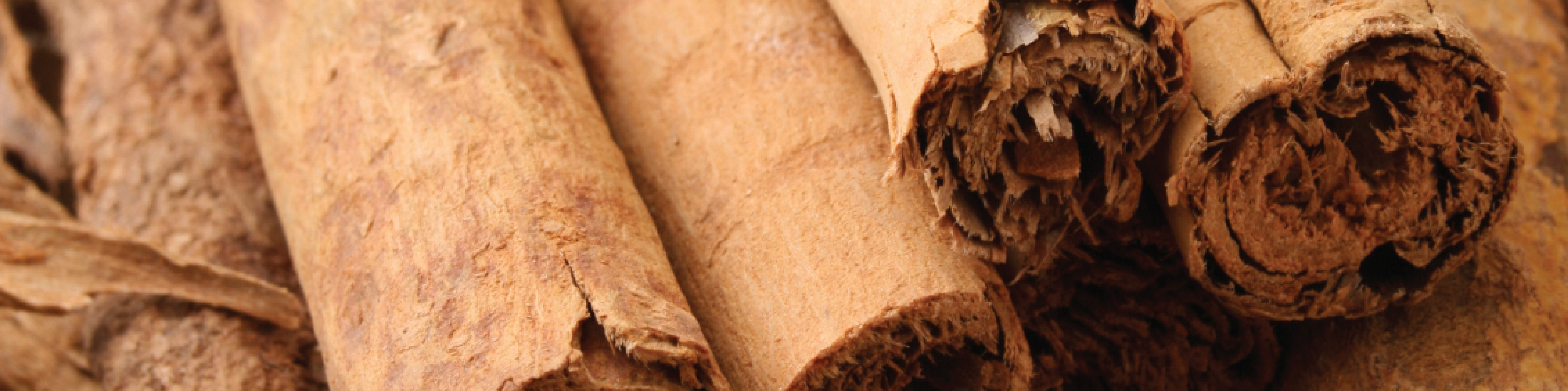 Cinnamon Bark Image