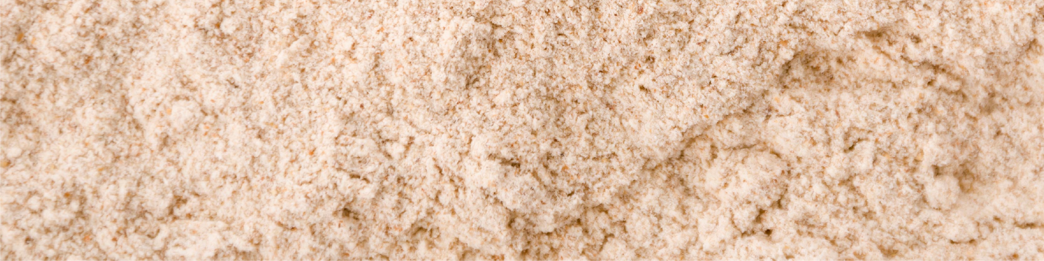 TerraZyme Protease Ingredient Image