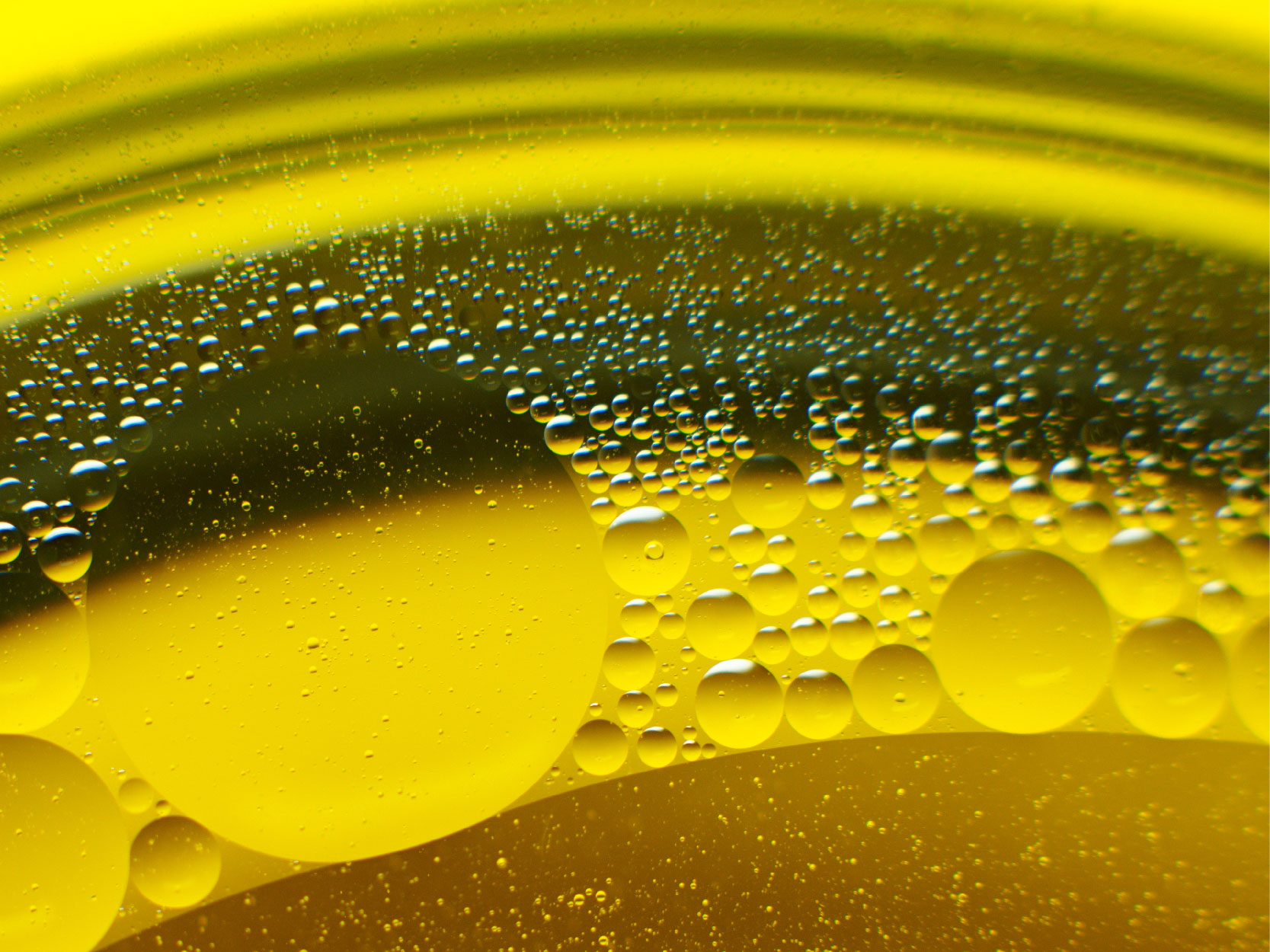 marine sourced oils image