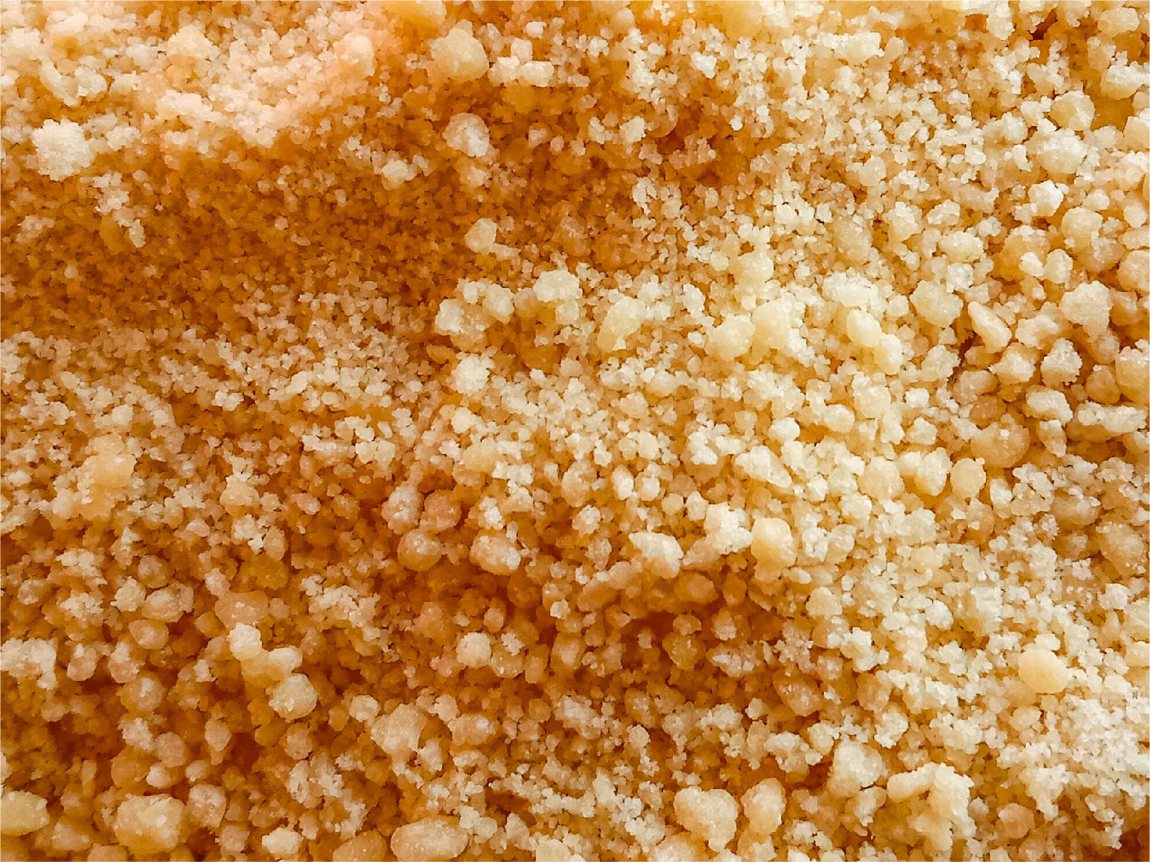 TerraZyme Glucoamylase Image